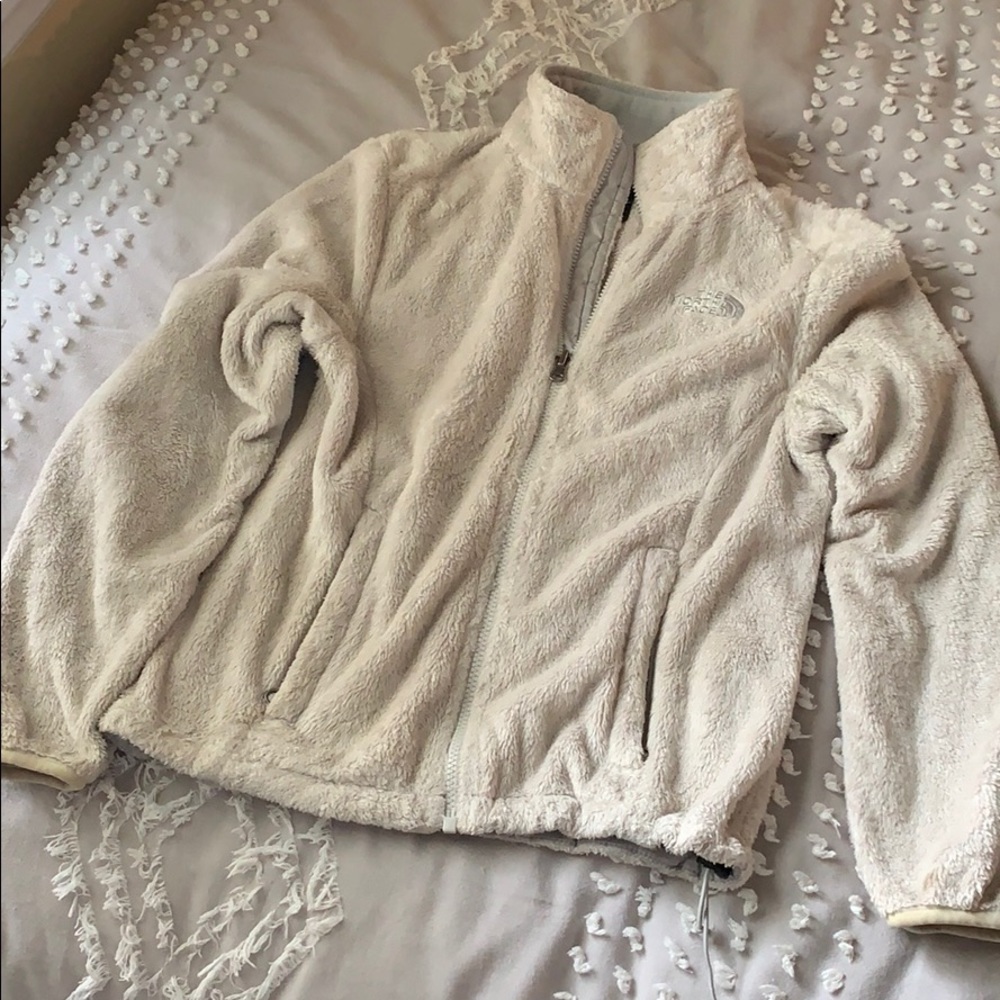 Light Gray North Face Osito Jacket